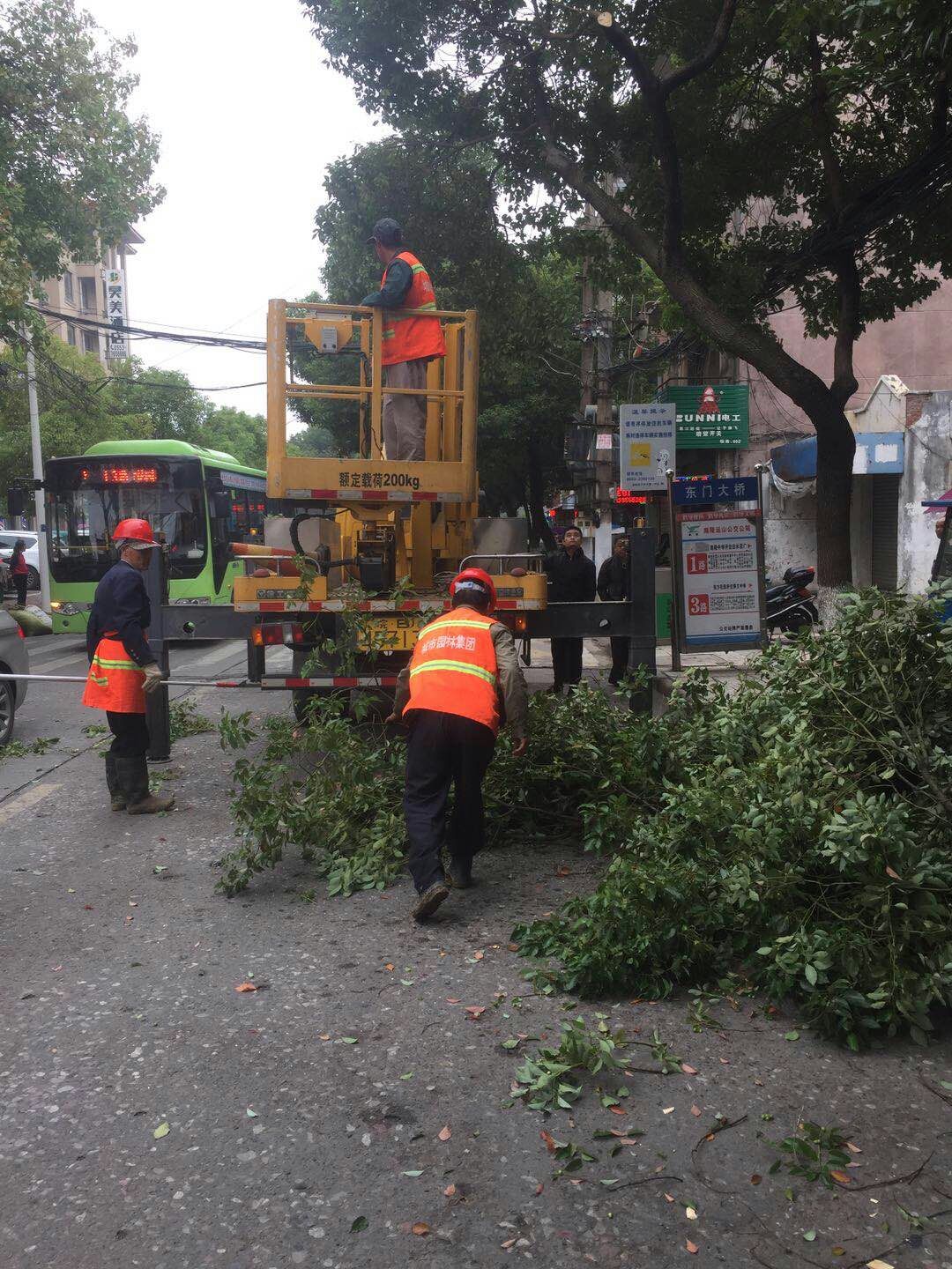 近日，我公司根據(jù)南陵縣市政園林所通知，組織安排人員車輛協(xié)助市政園林所路燈科修剪陵陽路兩側(cè)遮擋路燈照明的樹枝。此項工作持續(xù)了三天，消除了因路燈光照不足帶來的夜間通行安全隱患問題，受到沿線居民一致好評。